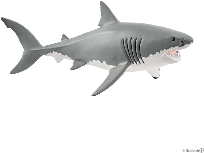 Great White Shark