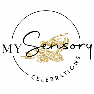 MSC Sensory Play Party Rentals