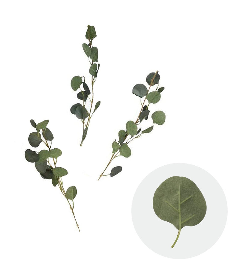 10-Pack Eucalyptus Leaves Branches