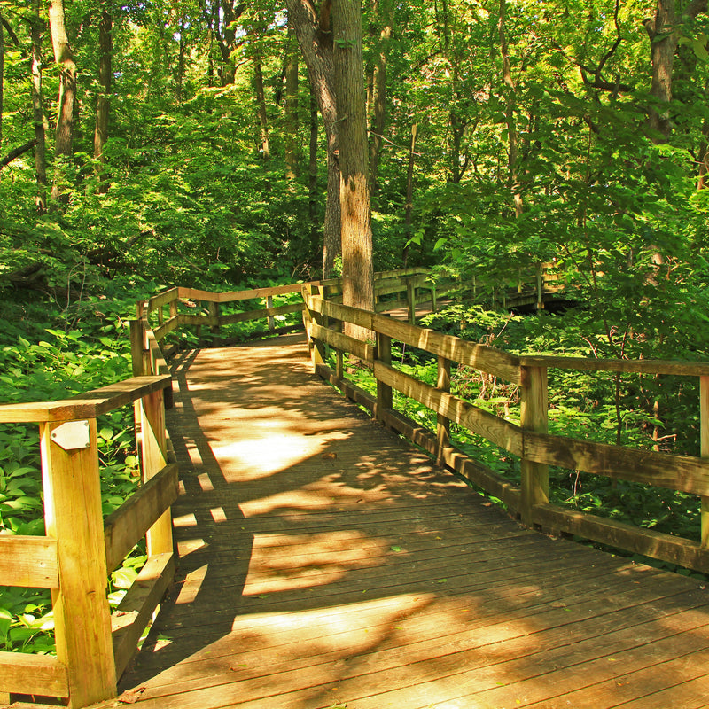 Take a Hike & Explore at a Nature Center