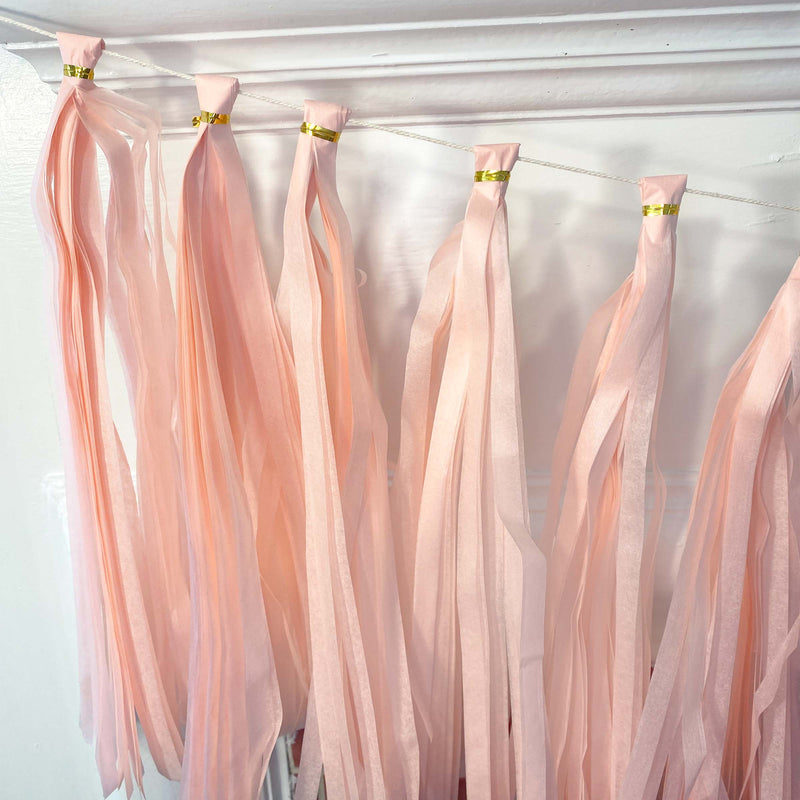 Pastel Pink Paper Tassel Tail - Tassel DIY Garland Kit