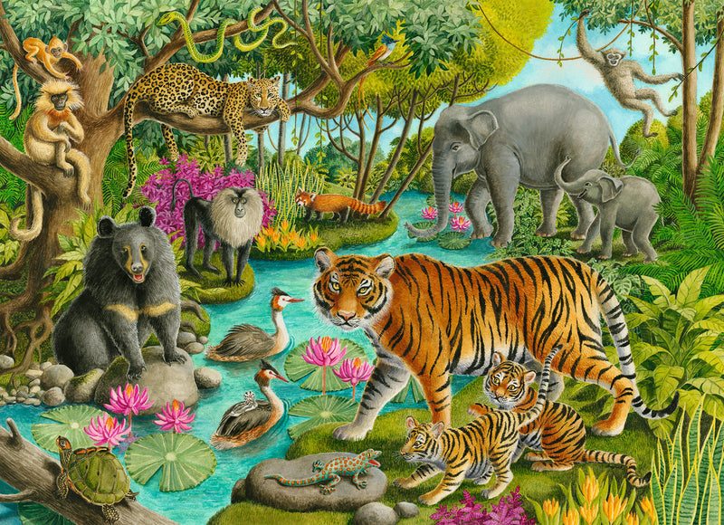 Animals Of India - 60 Piece