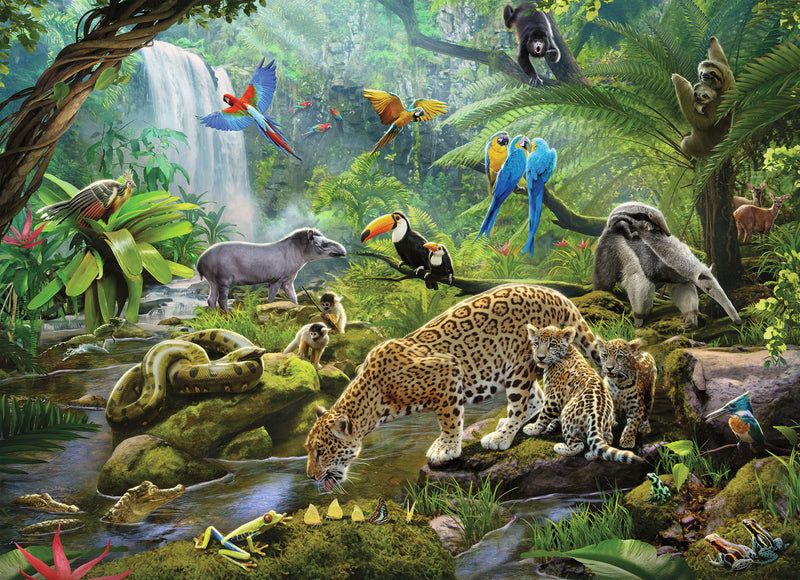 60 Pc Rainforest Animals Puzzle